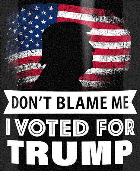 I voted Trump