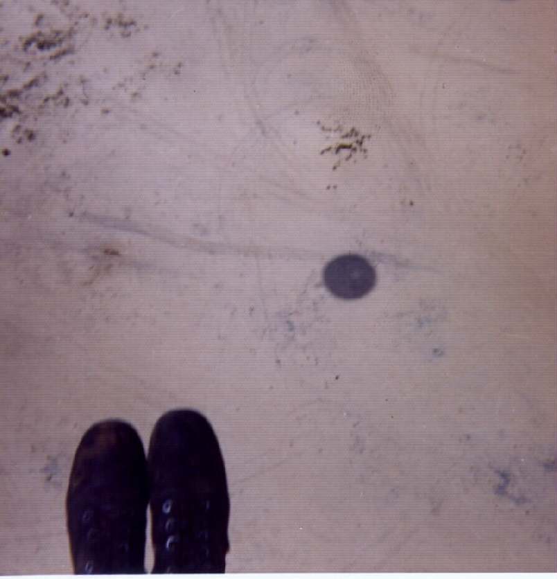 Click the Picture for the Full Size.