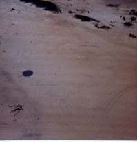 Click the Picture for the Full Size.