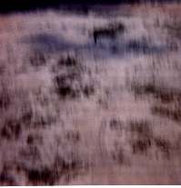 Click the Picture for the Full Size.