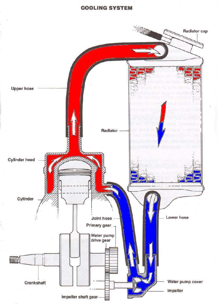 coolant leak - Kawasaki Motorcycle Forums