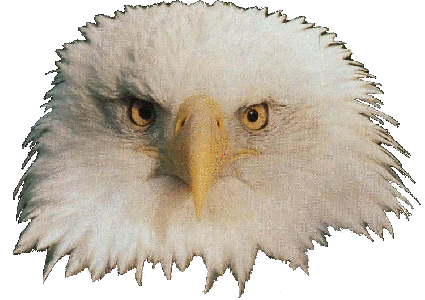All the Way, Airborne !
