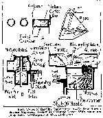 Old Carbs